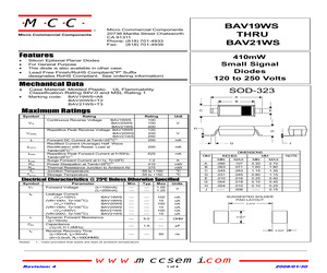 BAV19WSP.pdf