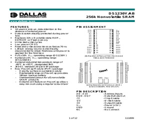 DS1230Y-100IND.pdf