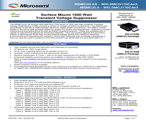 MSMCJ33A.pdf