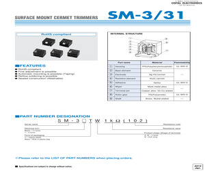 SM31A202.pdf