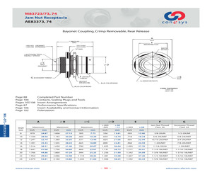 M83723/73W24576.pdf