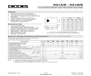 RS1DB-7.pdf