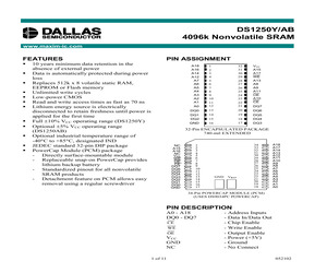 DS1250Y-100IND.pdf